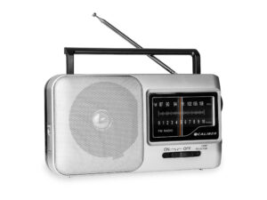 Portable radio - batteries or power cord - AM/FM radio with handle and headphone connection (HPG317R)
